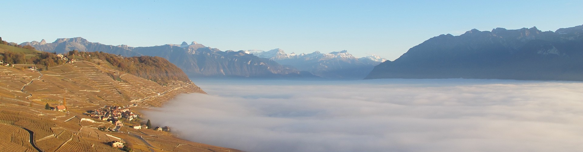 Les Vigneronnes de Lavaux