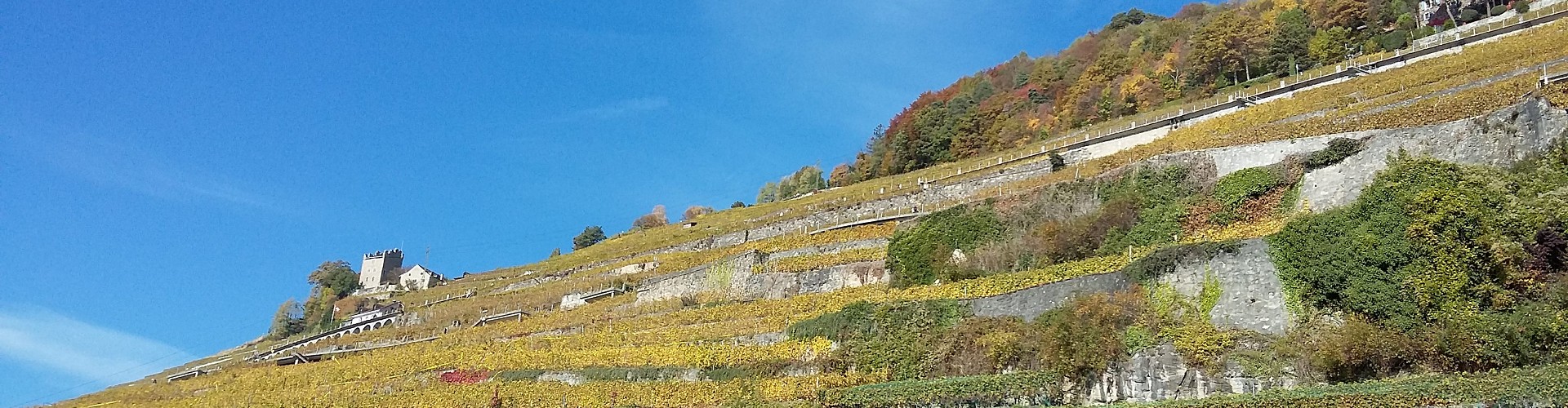 Les Vigneronnes de Lavaux