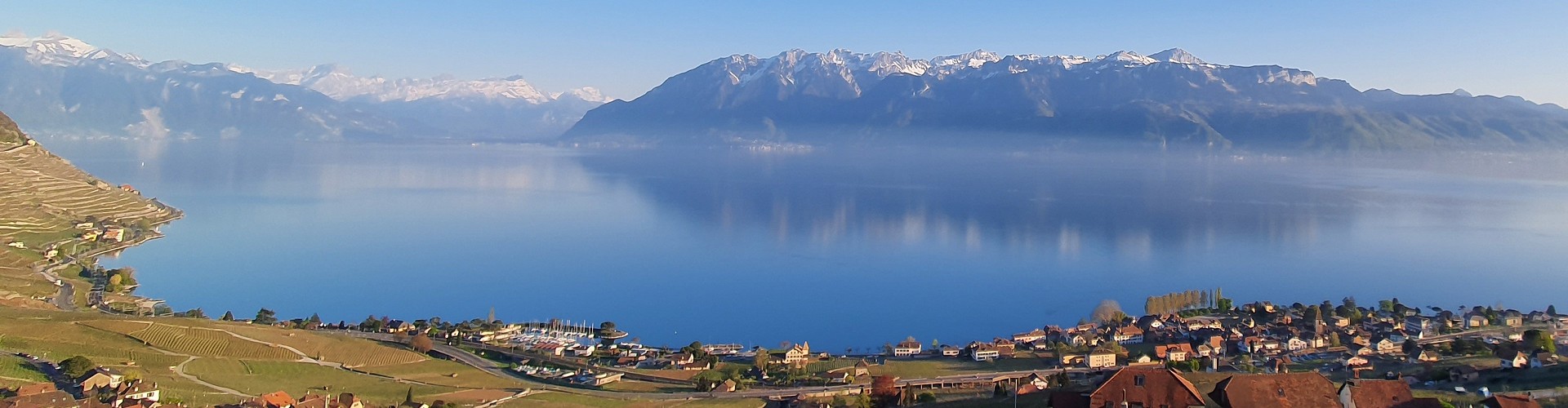 Les Vigneronnes de Lavaux
