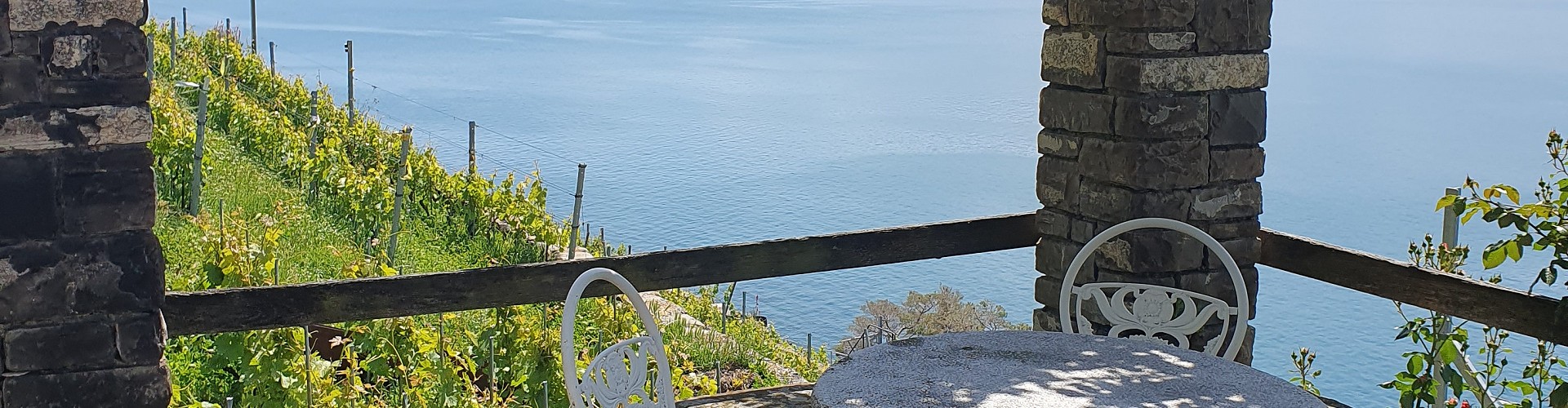 Les Vigneronnes de Lavaux