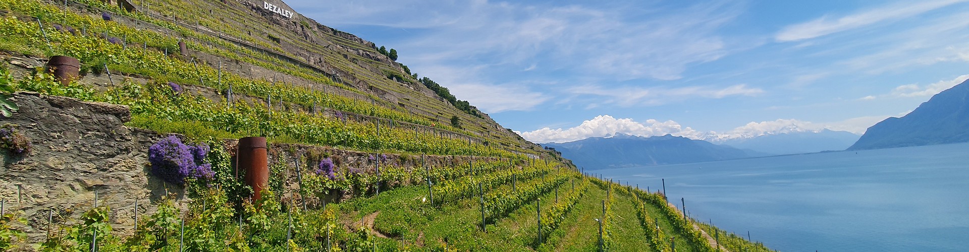 Les Vigneronnes de Lavaux
