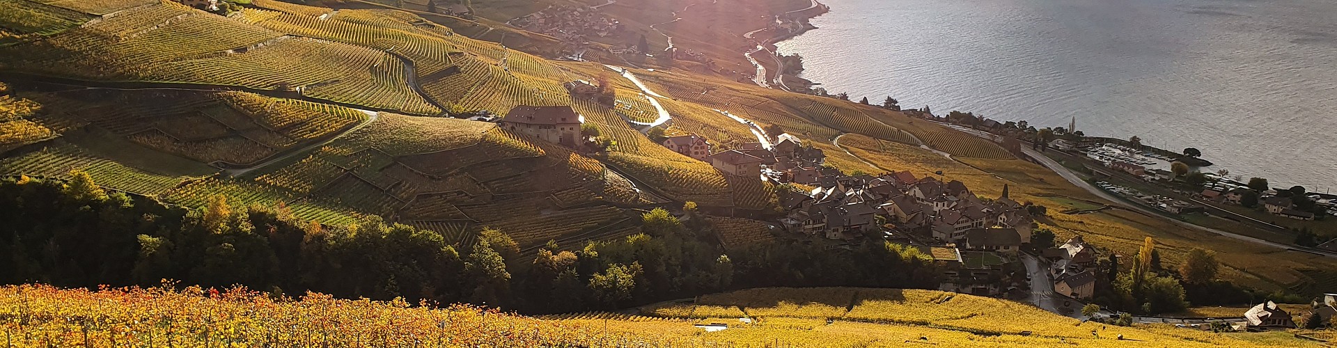 Les Vigneronnes de Lavaux