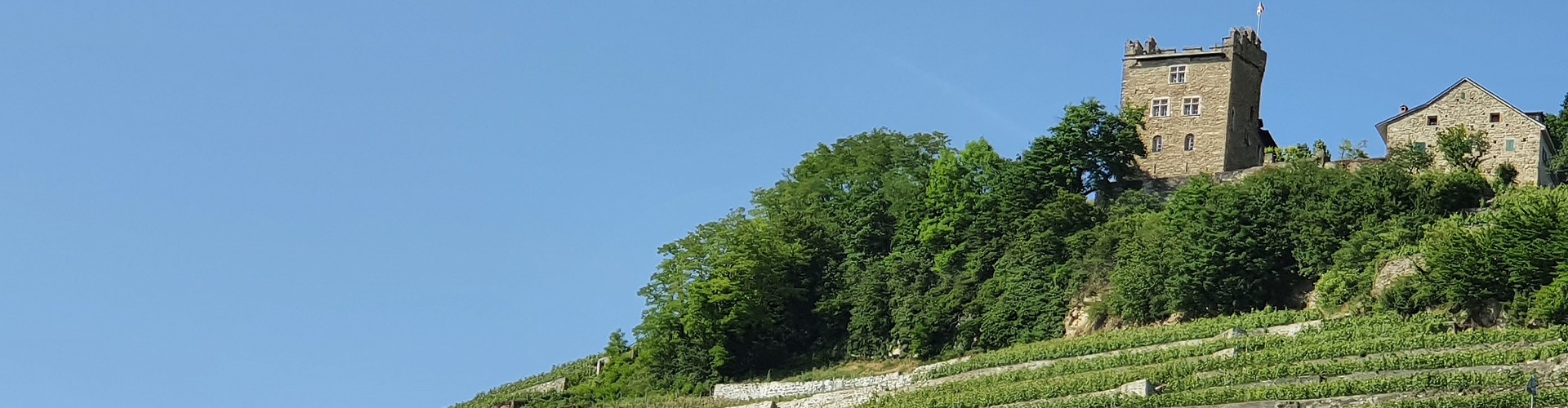 Les Vigneronnes de Lavaux