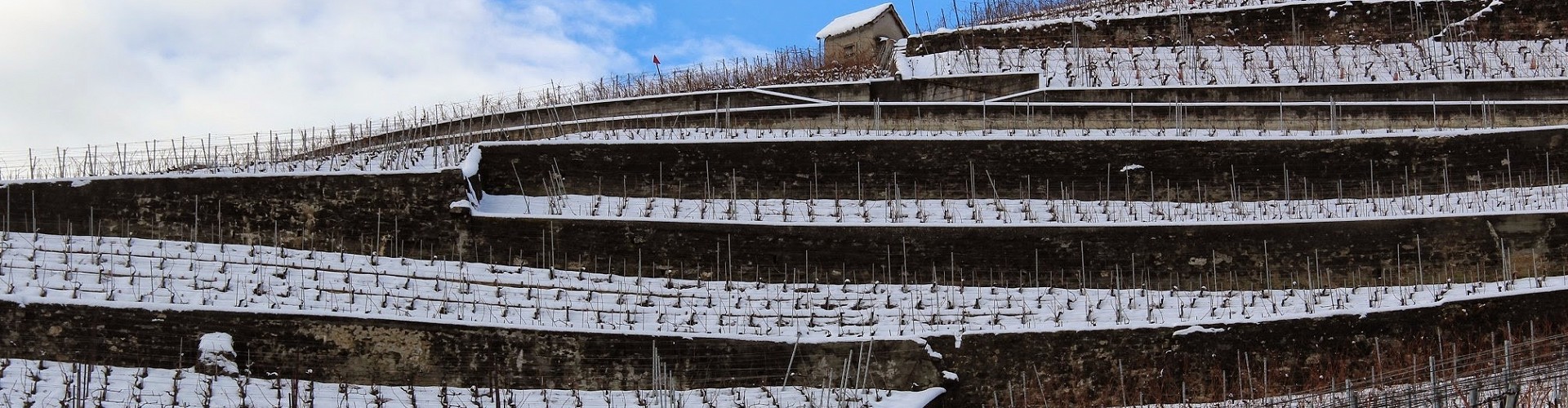 Les Vigneronnes de Lavaux